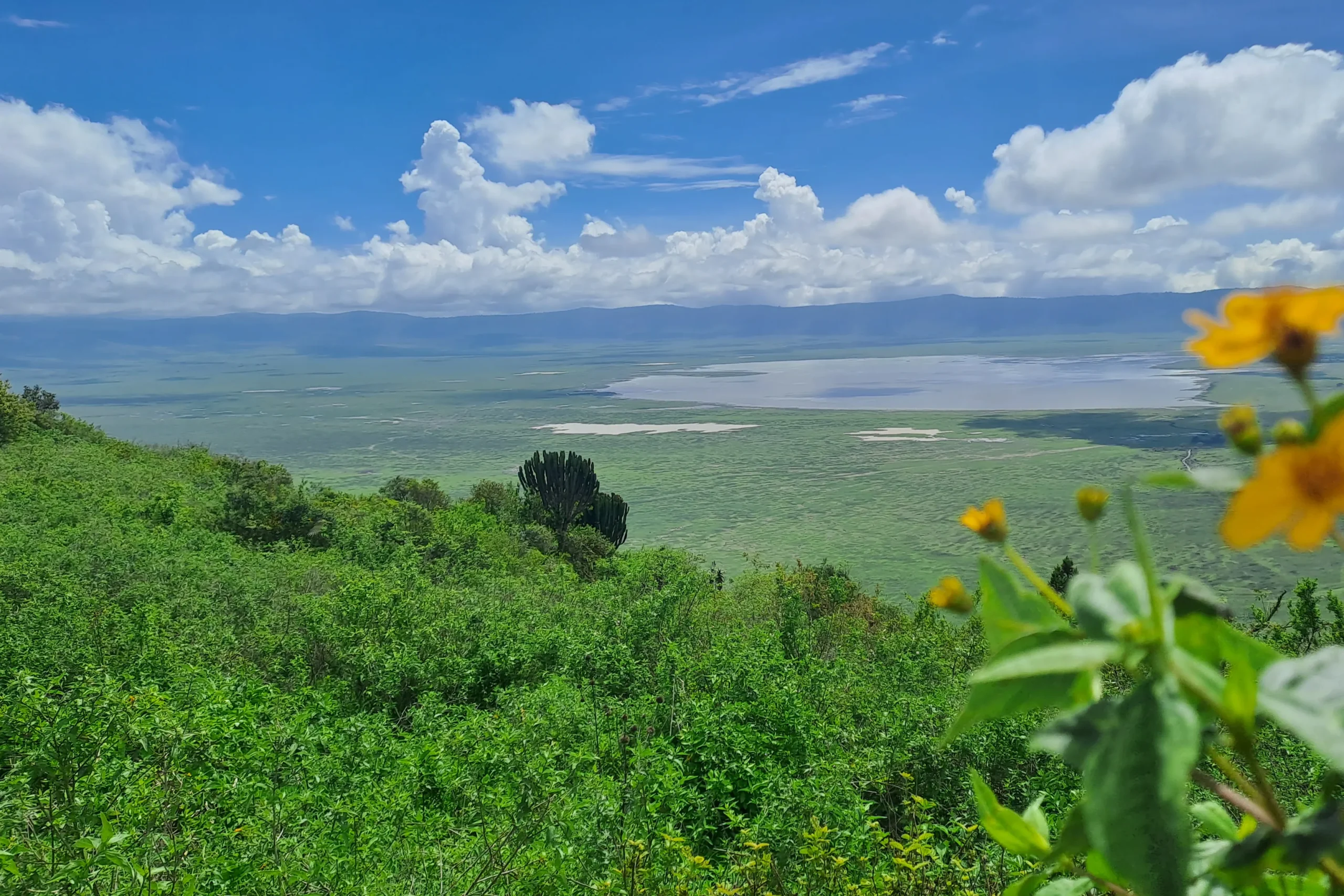 TZA_2023_1MGE_TANTSZ-301123_Ngorongoro_Krater_20231204_111501-Kopie-scaled