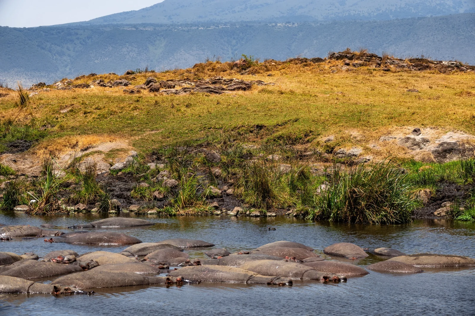 Travel-Destinations-Ngorongoro-Crater_Featured