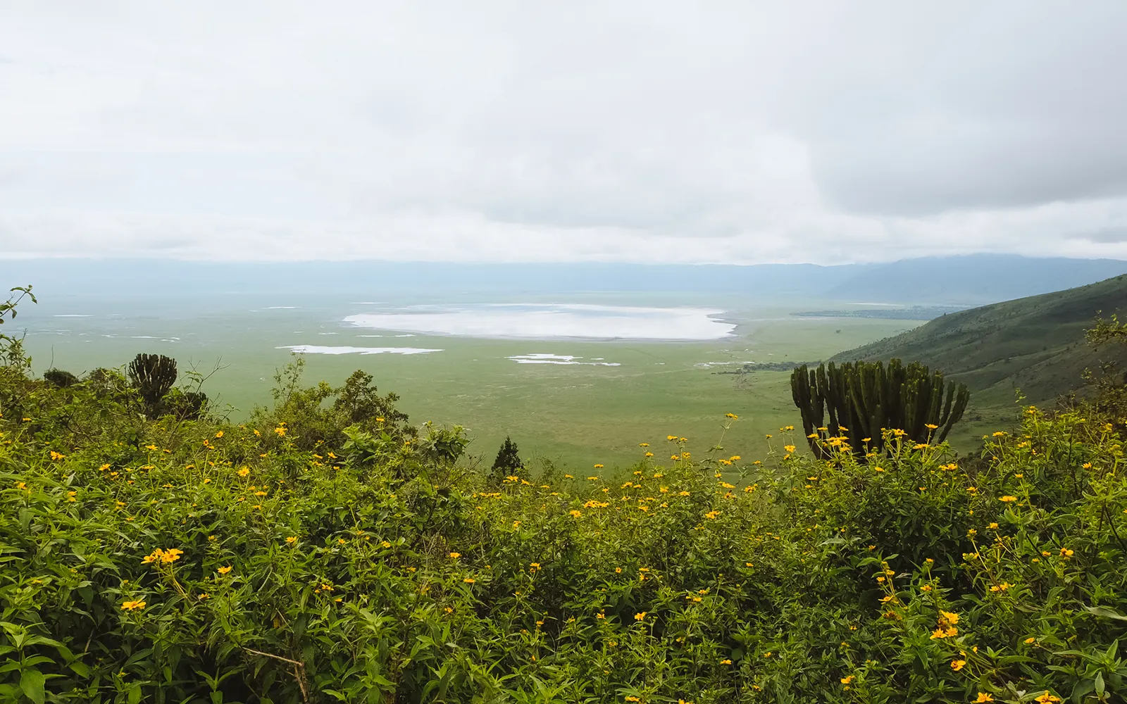 ngorongoro-1