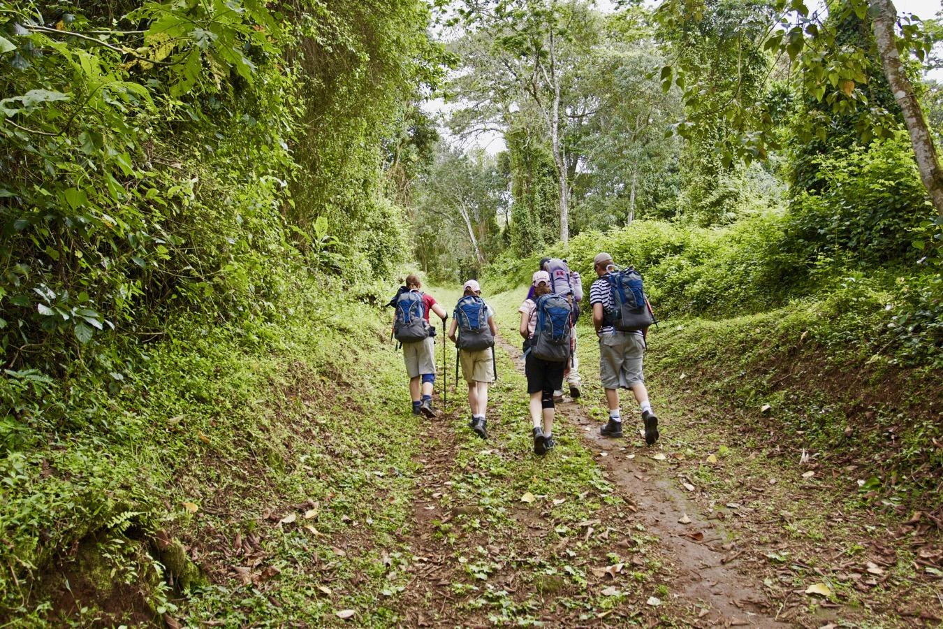 Mt. Kilimanjaro Day Hike_1573451609